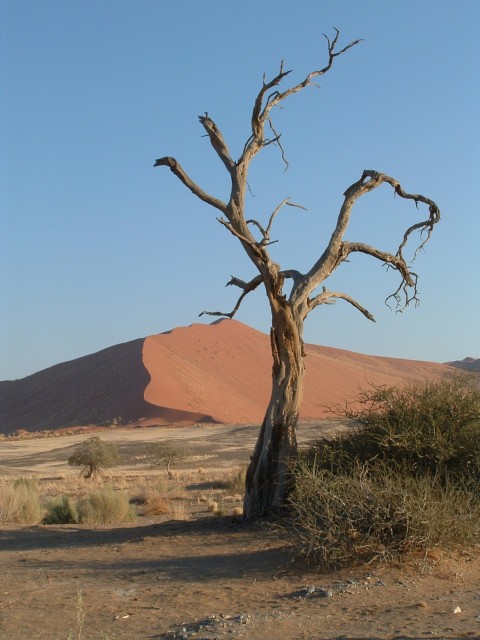 Namibia tour